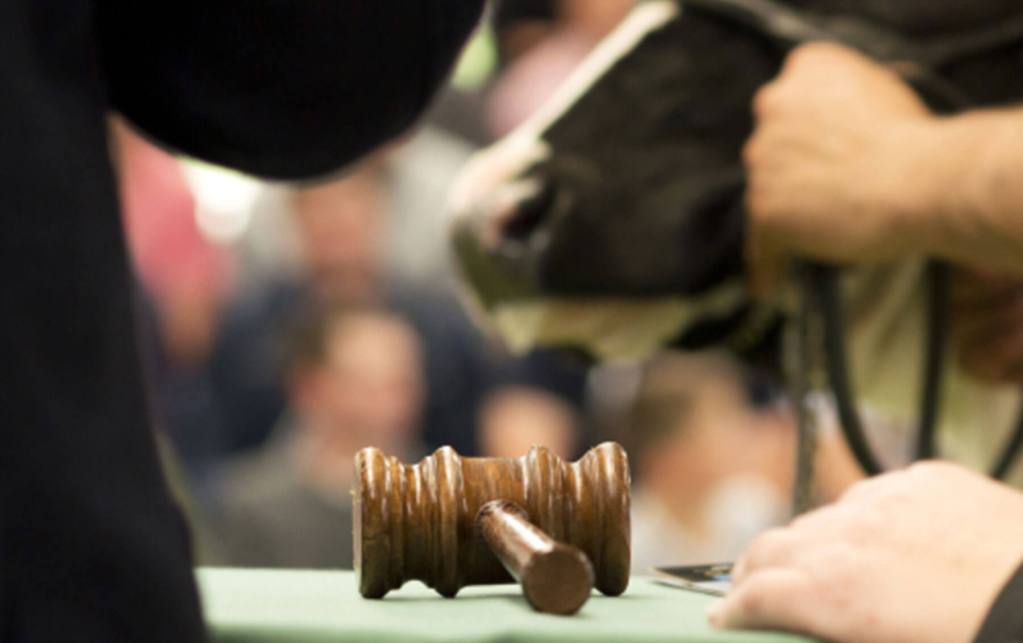 How rotational grazing helps in a drought