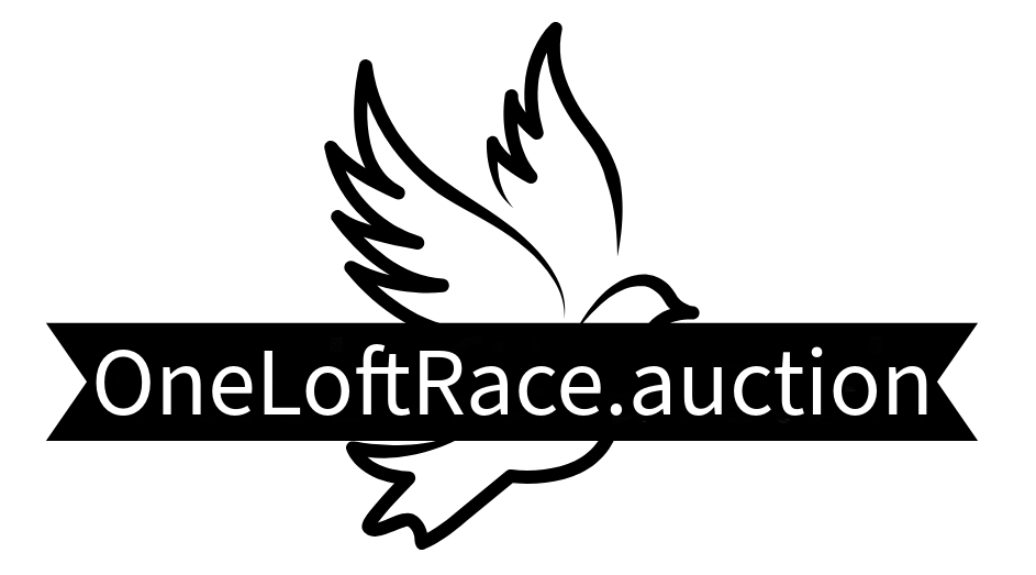 OneLoftRace.auction