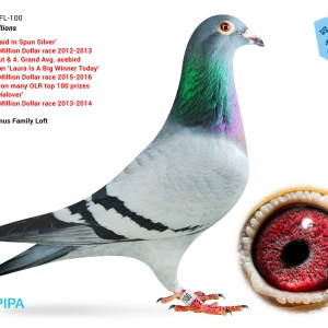 Lot 2 - GB26C00092 - Test