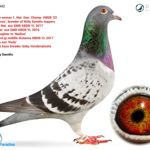 Lot 4 - GB26C00094 - Test