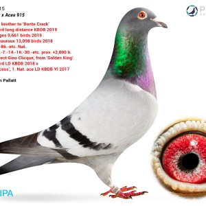 Lot 7 - GB26C00097 - Test