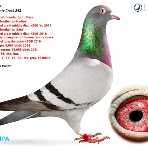 Lot 014 - GB26C00014 - Test